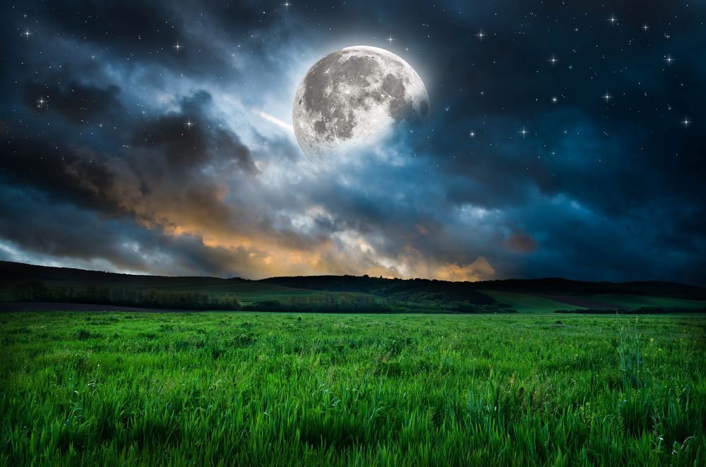 Обои для рабочего стола Огромная яркая луна в синем небе освещает зеленое большое поле с высокой травой