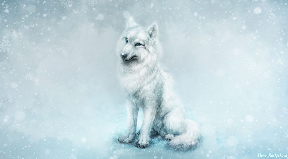 Обои для рабочего стола Белый волк под падающим снегом, by Elena Roslyakova