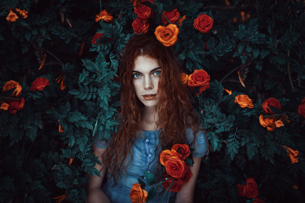 Обои для рабочего стола Девушка Сара стоит но фоне куста с розами, by Adi Dekel