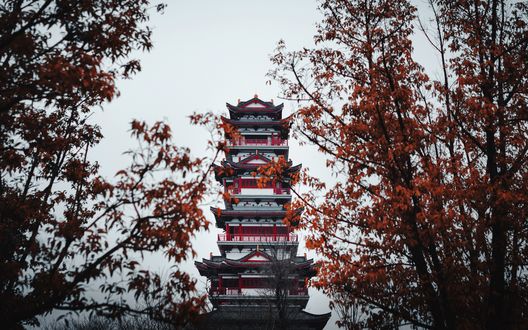 Обои на рабочий стол Пагода среди осенних деревьев, Сычуань, Китай, фотограф cheng feng