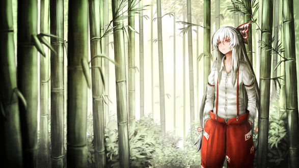 Обои на рабочий стол Fujiwara no Mokou / Фудзивара но Моко из серии игр Touhou Project / Проект Восток, by Rinnemi