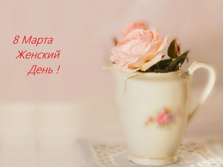 Обои на рабочий стол Нежная розовая роза в фарфоровом кувшине, (8 марта женский день! )