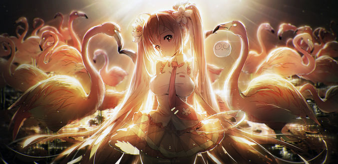 Обои на рабочий стол Vocaloid Hatsune Miku / Вокалоид Хатсунэ Мику среди фламинго