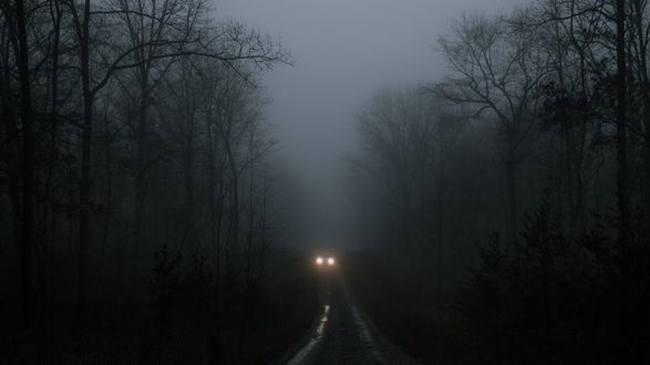 Обои на рабочий стол Машина с включенными фарами едет по туманной дороге, фотограф Will Swann