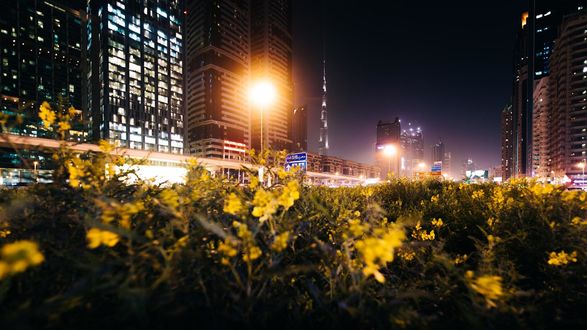 Обои на рабочий стол Огни ночного города Dubai, United Arab Emirates / Дубай, Объединенные Арабские Эмираты