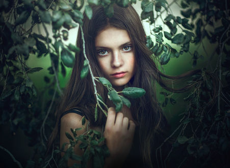 Обои на рабочий стол Девушка с длинными волосами стоит у веток, by Jessica Drossin