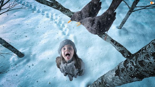 Обои на рабочий стол Девочка и вороны, фотограф John Wilhelm