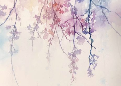 Обои на рабочий стол Ветки цветущей вишни, by Ame