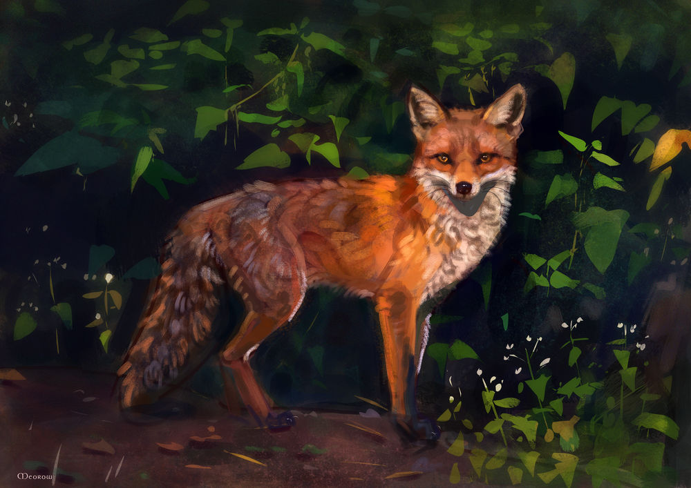Обои для рабочего стола Лиса на фоне зеленых листьев, by Meorow
