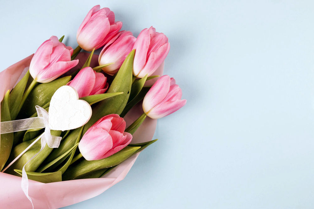 Обои для рабочего стола Розовые тюльпаны с белым сердечком