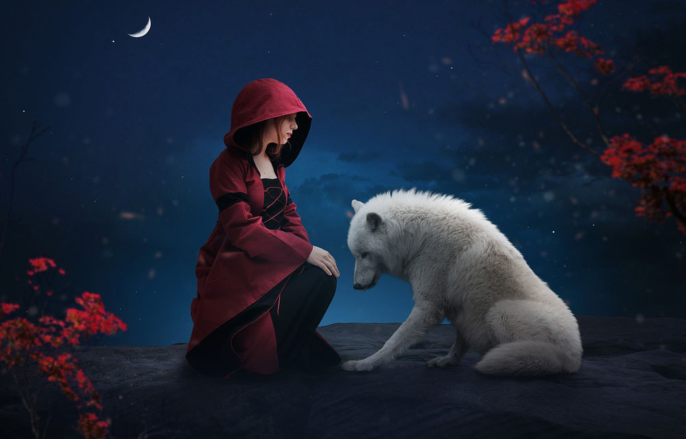 Обои для рабочего стола Девушка в одежде красной шапочки и белый волк на фоне деревьев и луны
