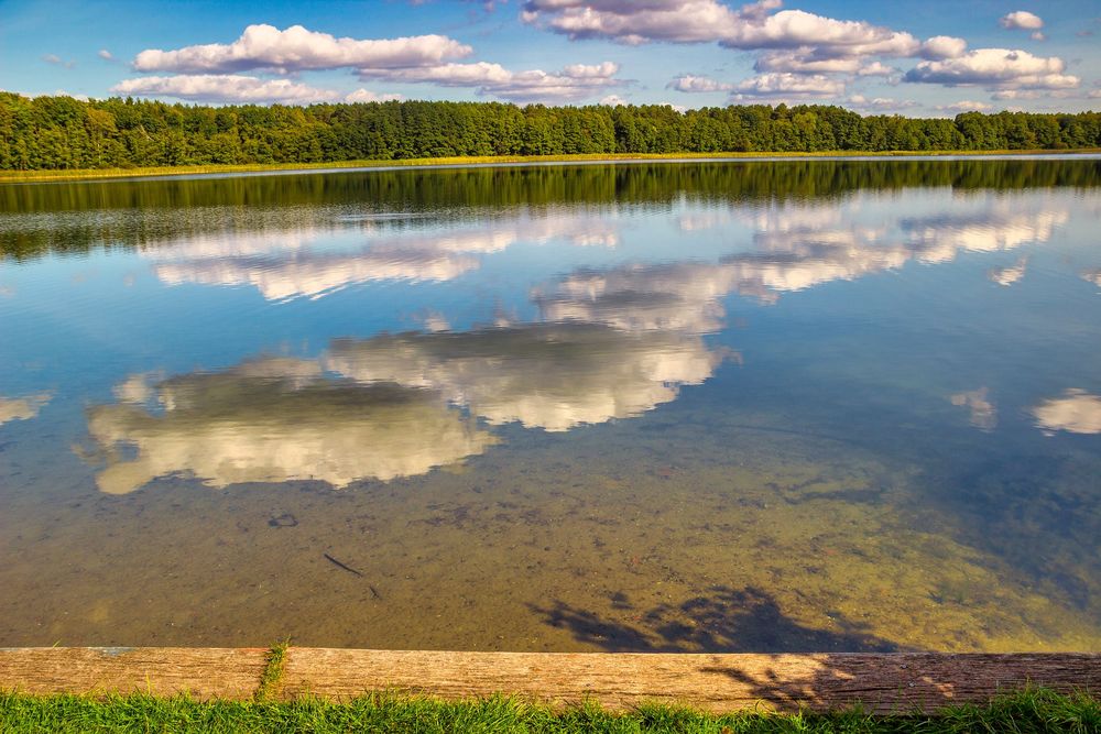 Обои для рабочего стола Озеро на фоне леса, неба с облаками в отражение воды озера, by Gundula Vogel