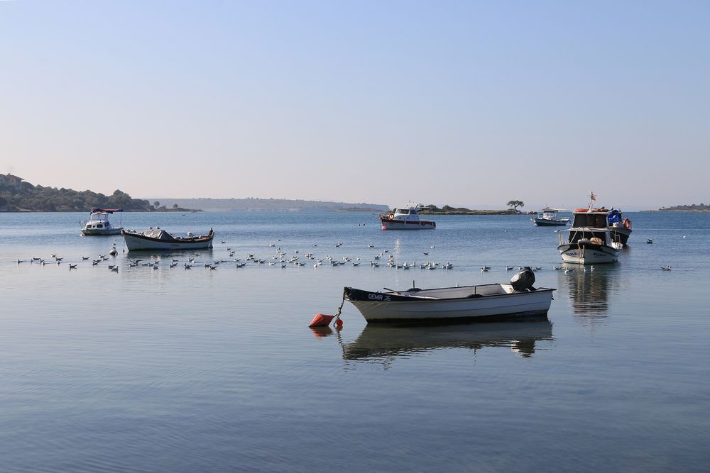 Обои для рабочего стола Лодки, катера и чайки на воде моря, by Yasemin Simit