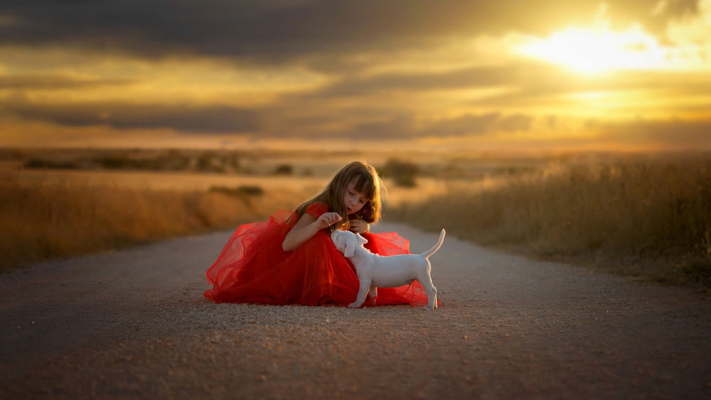 Обои для рабочего стола Девочка в красном платье сидит на дороге и играет со щенком на фоне заката
