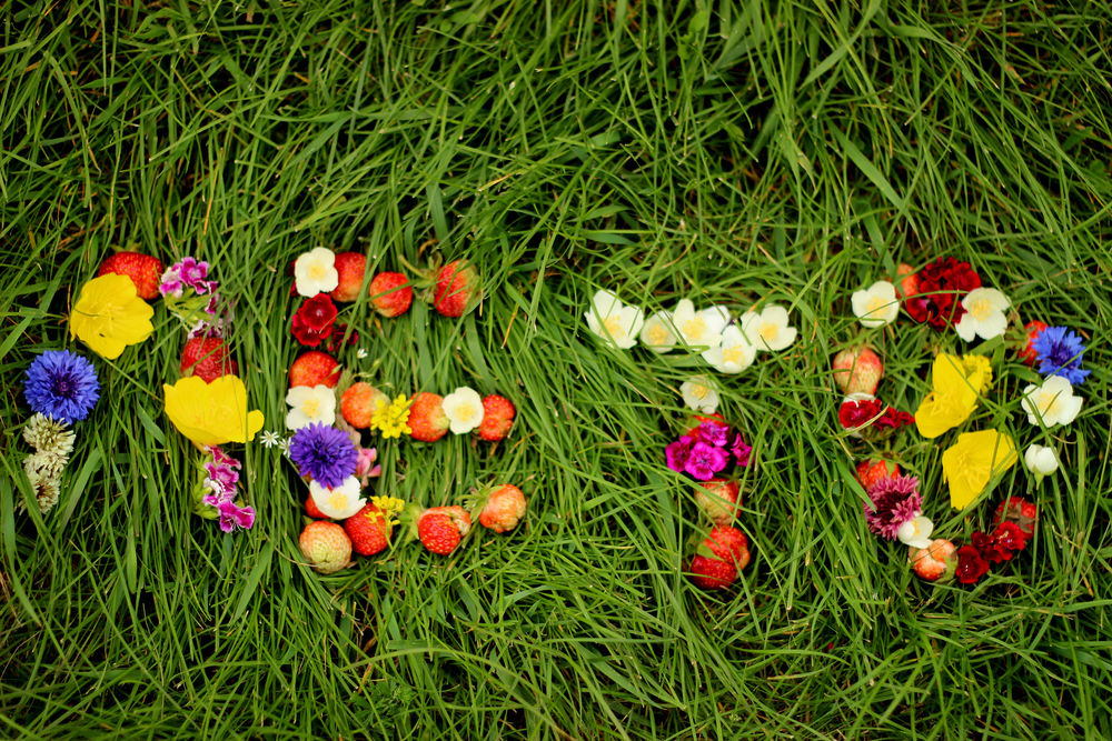 Обои для рабочего стола На зеленой траве из цветов и ягод выложено слово лето, by Нина Попова
