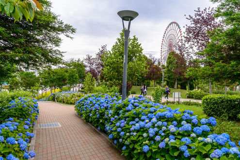 Обои на рабочий стол Парк в Odaiba, Tokyo, Japan / Одайба, Токио, Япония