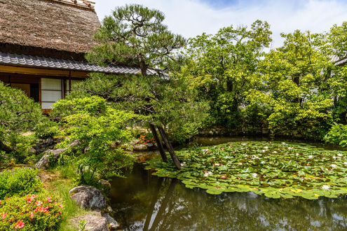 Обои на рабочий стол Isuien Garden, Nara, Japan / японский сад, расположенный в Наре, старой столице Японии, недалеко от Кето