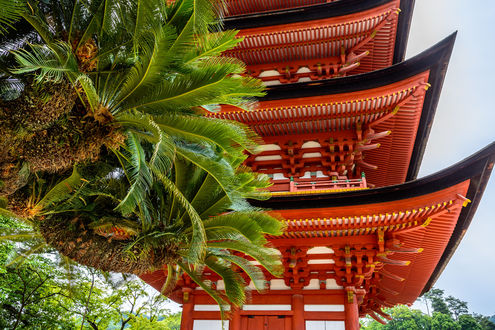 Обои на рабочий стол Miyajima, Japan / Миядзима, Япония