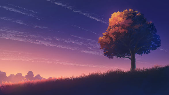 Дерево рисунок на фоне неба