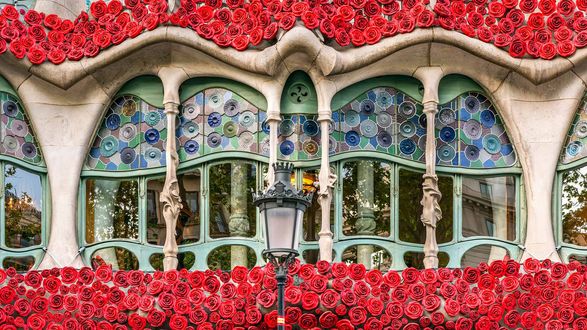 Обои на рабочий стол Балконы знаменитого дома Бальо / Casa Batllo, украшенные красными розами, на фасаде здания, архитектор Гауди, Барселона, Испания