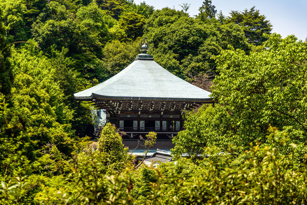 Обои для рабочего стола Miyajima, Daishoin, Japan / Миядзима, храм Daishoin, Япония
