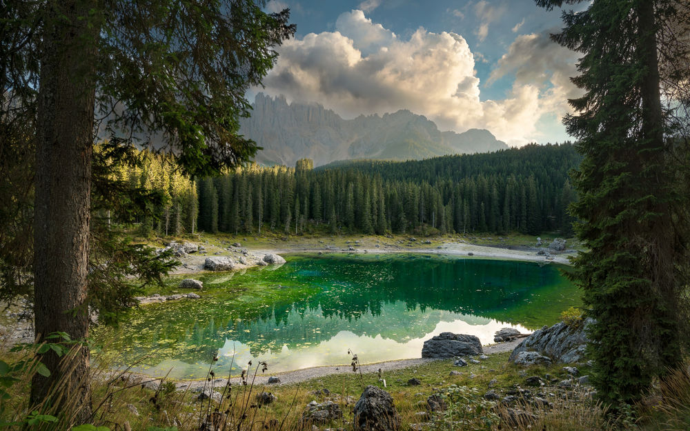 Обои для рабочего стола Озеро Karersee / Карецца в горах с берегом, поросшим елями, Италия