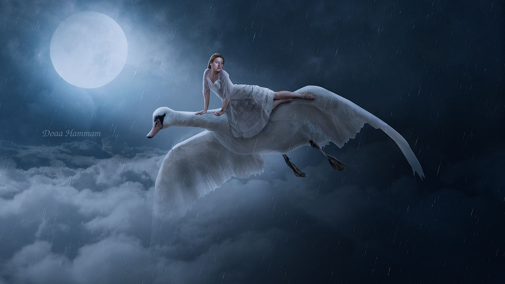 Обои для рабочего стола Девушка на лебеде летит над облаками, by DoaaHammam
