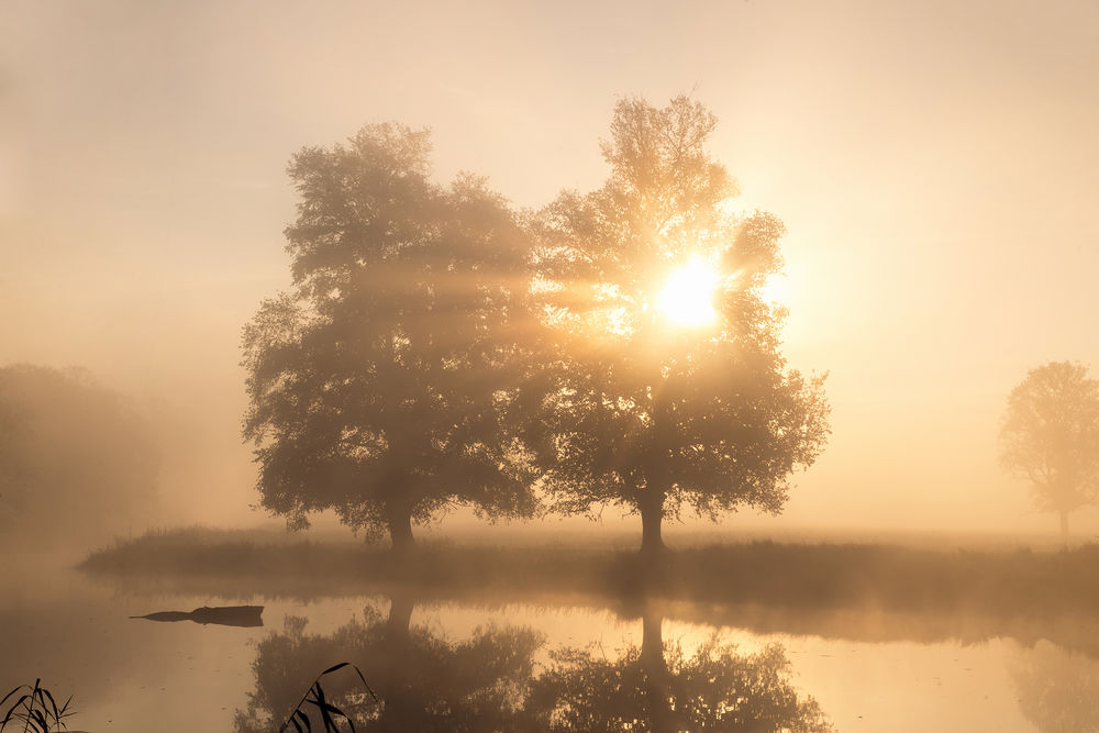 Обои для рабочего стола Morning in the Odra River Valley / Утро в долине реки Одры. Фотограф Radoslaw Dranikowski