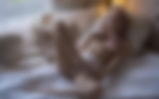 Обои на рабочий стол Модель позирует на постели, фотограф Jack Russell