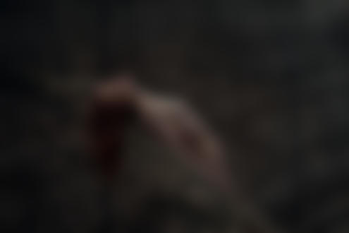 Обои на рабочий стол Обнаженная девушка позирует в лесу, фотограф Анна Шувалова
