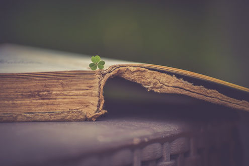 Обои на рабочий стол Листочек плюща на старой книге, by Ayeshadows