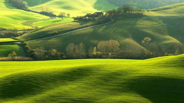 Обои на рабочий стол Tuscany / Тоскана с ее зелеными холмами, by PP ANIP