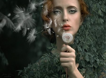 Обои на рабочий стол Девушка с отцветшим одуванчиком в руке, by Jessica Drossin