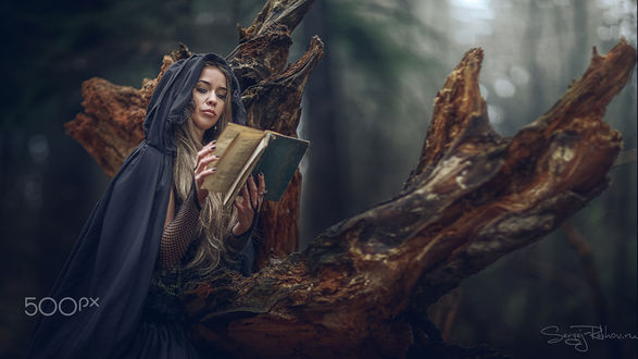 Обои на рабочий стол Девушка в плаще с капюшоном с книгой в руках сидит на коряге, by Sergej Rekhov