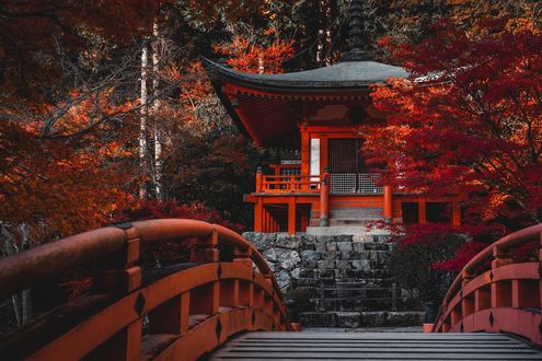 Обои на рабочий стол Красный мост к храму Daigo-ji в осеннем парке, Kyoto / Киото, Japan / Япония