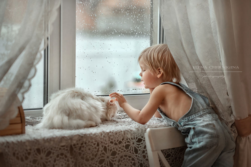 Обои для рабочего стола Мальчик с кошкой у окна в дождливый день. Фотограф Чернигина Елена
