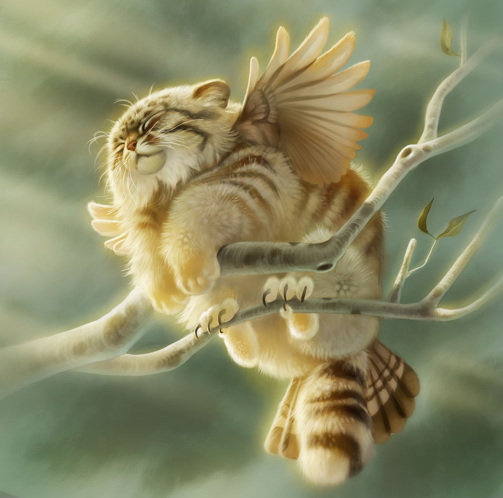 Обои для рабочего стола Pallas Cat Griffon / Кошка-гриффон Паллада, by Pixxus