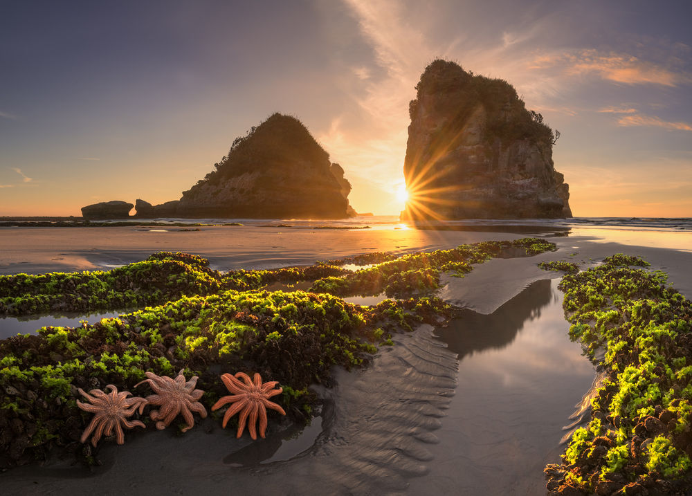 Обои для рабочего стола Motukiekie Beach, West Coast, New Zealand / Пляж Мотукики, Западное побережье, Новая Зеландия, by Sergey Aleshchenko