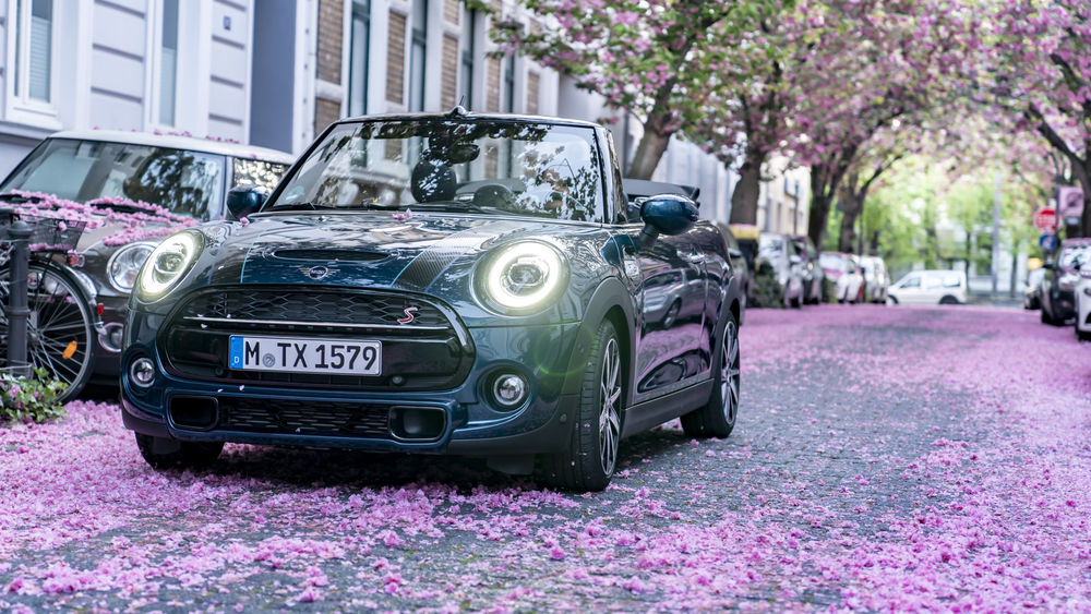 Обои для рабочего стола Автомобиль Mini Cooper S на фоне опавших листьев сакуры