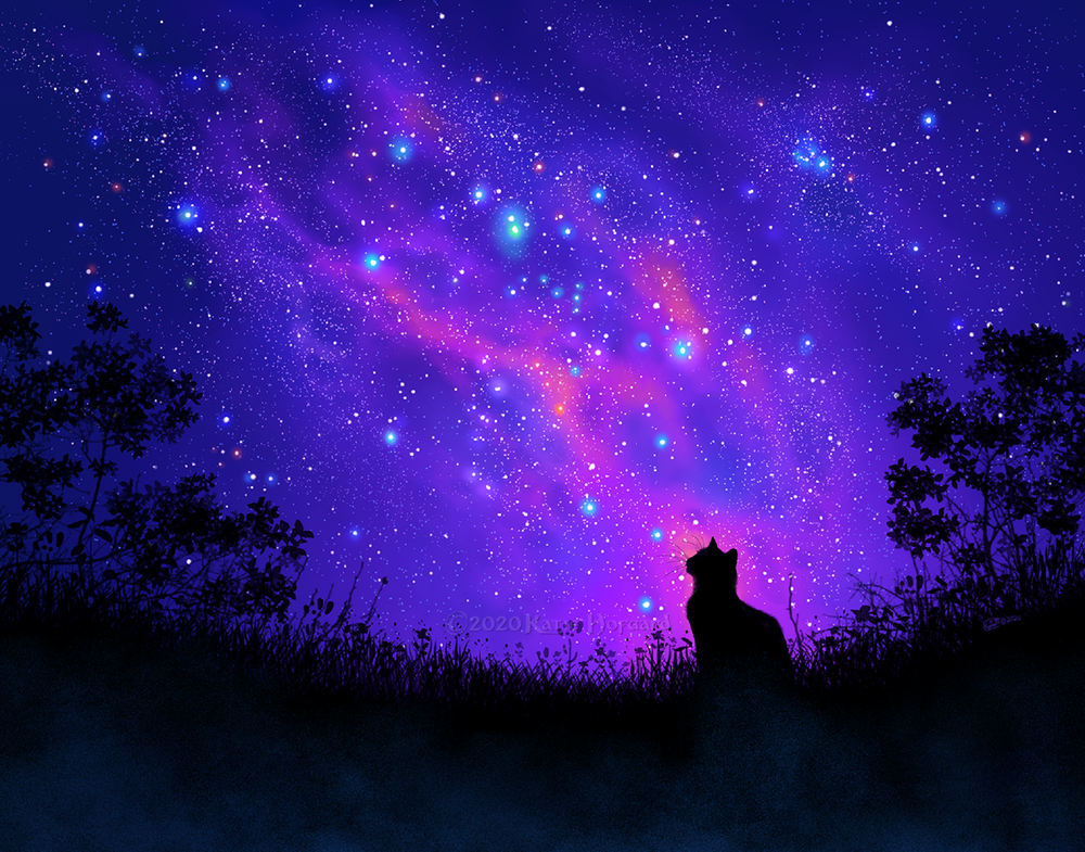 Обои для рабочего стола Кошка на фоне ночного звездного неба, by KatieHofgard