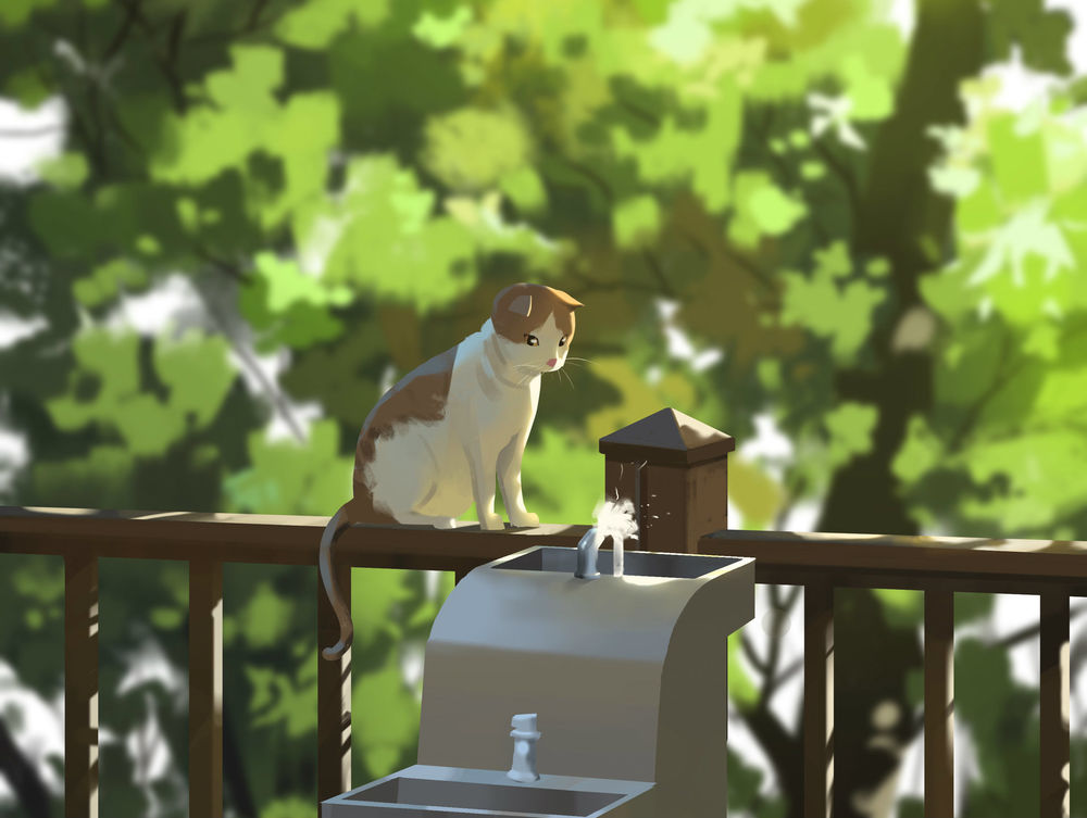 Обои для рабочего стола Кошка сидит на заборе, автор Shin jong hun