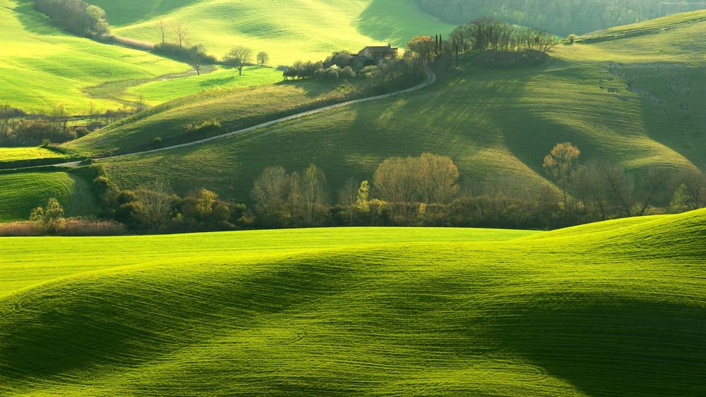 Обои для рабочего стола Tuscany / Тоскана с ее зелеными холмами, by PP ANIP