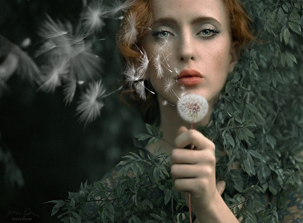 Обои для рабочего стола Девушка с отцветшим одуванчиком в руке, by Jessica Drossin