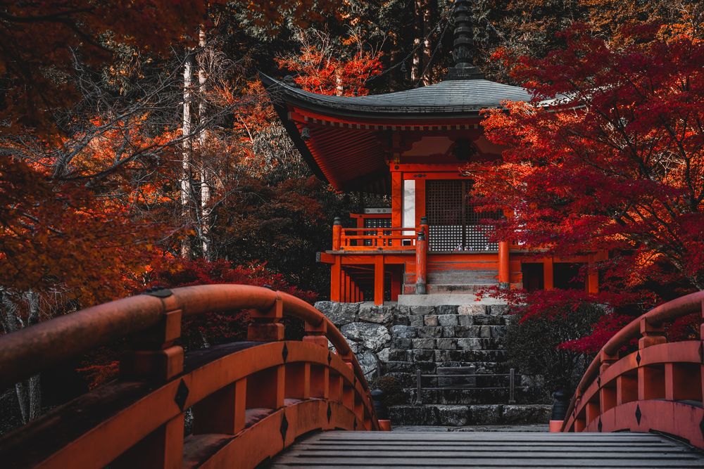 Обои для рабочего стола Красный мост к храму Daigo-ji в осеннем парке, Kyoto / Киото, Japan / Япония