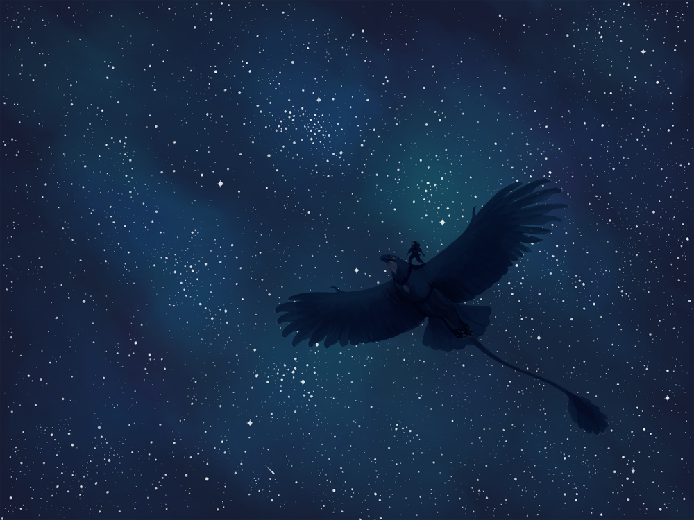 Обои для рабочего стола Птица с длинным хвостом на фоне звездного неба, by peregyr