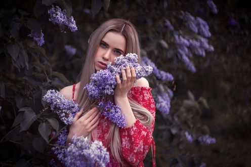 Обои на рабочий стол Девушка стоит у куста сирени, фотограф Денис Котов