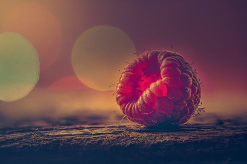 Обои на рабочий стол Ягода малины крупным планом, фотограф Rosana