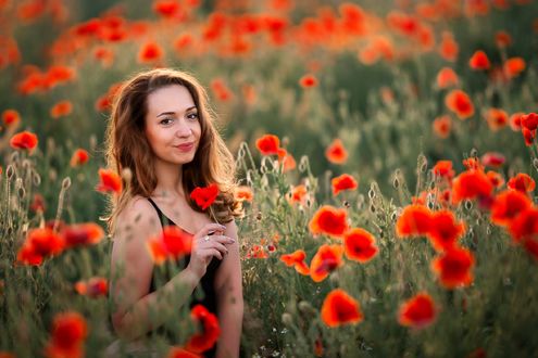 Обои на рабочий стол Девушка на маковом поле. Фотограф Ларина Юлия