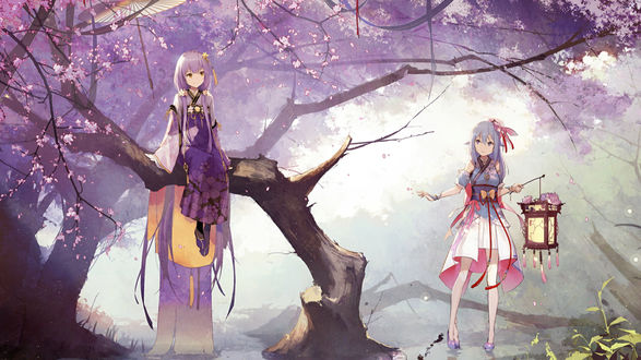 Обои на рабочий стол Девушки Vocaloid Xingchen / Вокалоид Ксингчен и Haiyi, одна сидит на дереве сакуры, а вторая стоит рядом с фонариком в руках