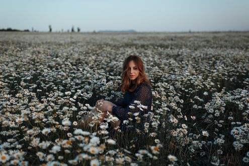Обои на рабочий стол Девушка на ромашковом поле, фотограф Аляпина Екатерина